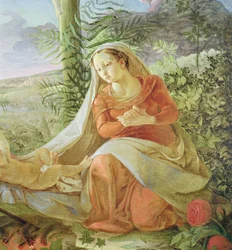 The Virgin from 